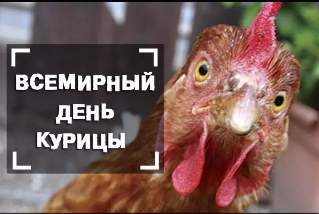Победная поступь идиотизма по планете.