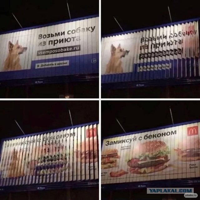 Беги быстрее, шаурма