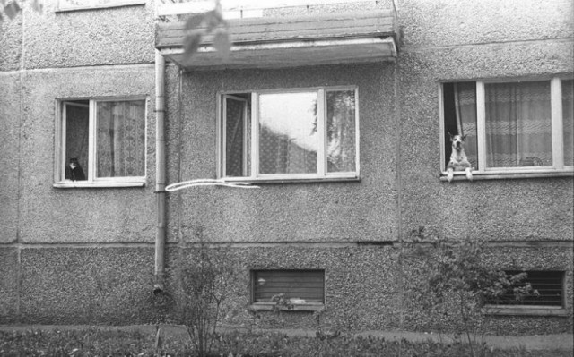 22 уличные фотографии советской жизни от Владимира Богданова