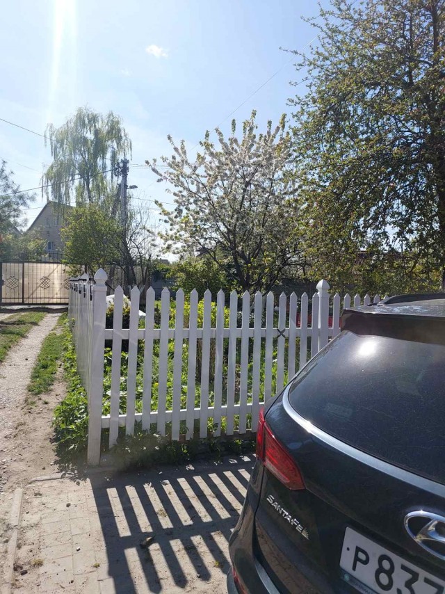 Сколько счас стоит писечка