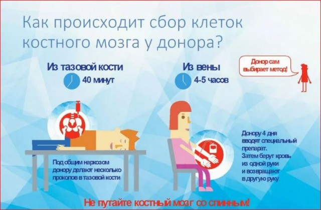 Победная поступь идиотизма по планете – том 16
