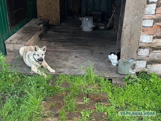 Подкаменная тунгуска. Сплав