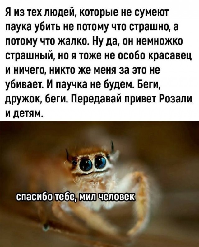 Весёлый полтишок 27.07.23