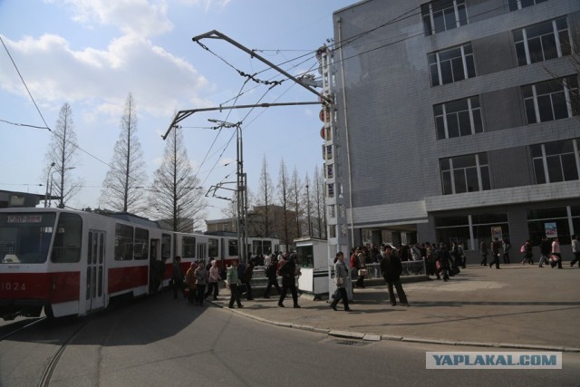 Северная Корея накануне войны