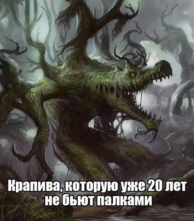 Не очень адекватный юмор
