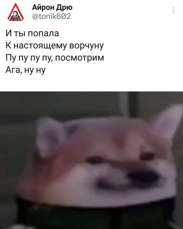 Забавные картинки ...