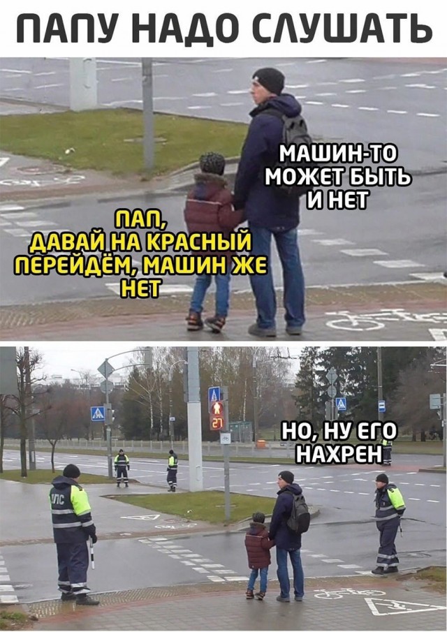 18629782.jpg