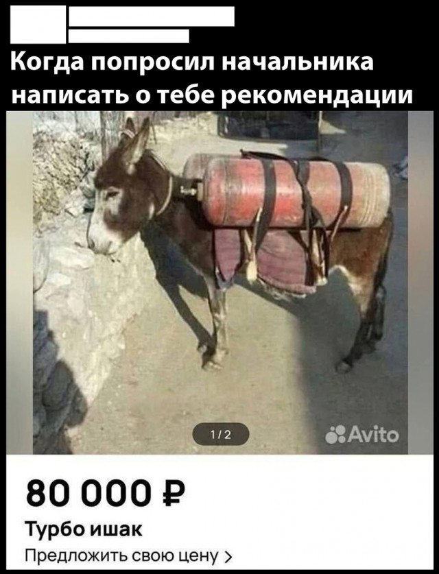 Так себе картинки 06.12.23