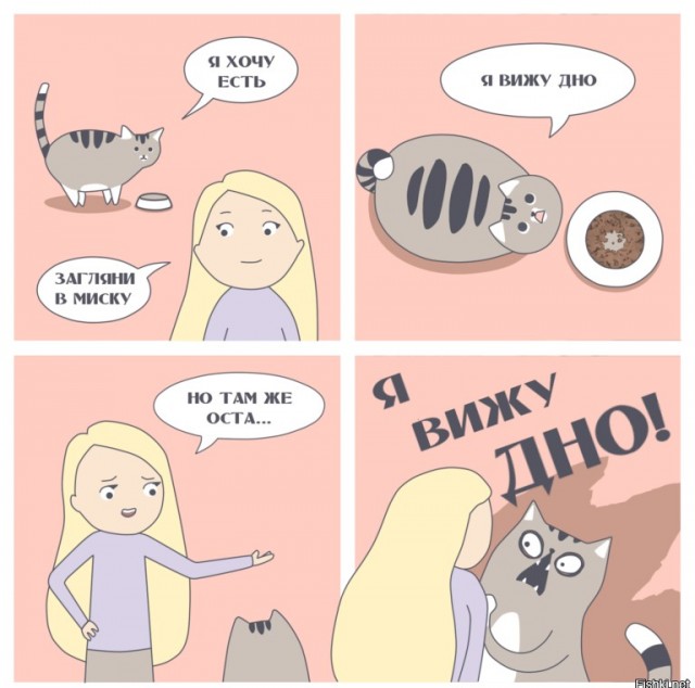 Как отучить кота будить меня по ночам?