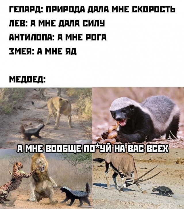 Завалялось тут случайно немного забавных картинок