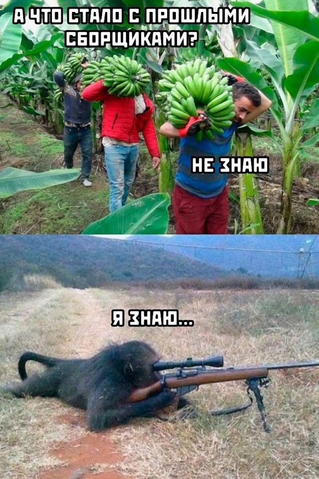 Немного картинок и прочей хреноты Vol. 30