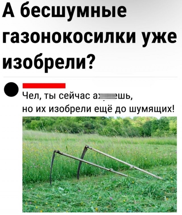 Отряд быстрого деградирования