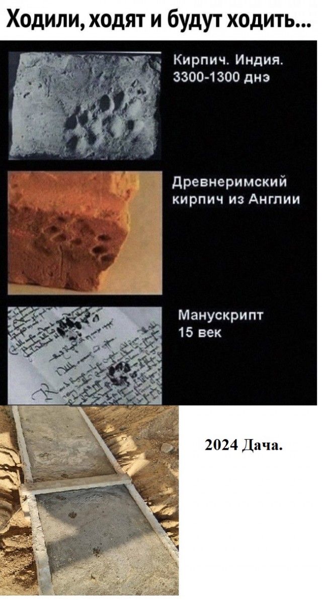 Немного наркомании и шизофрении в ленту. Часть 2