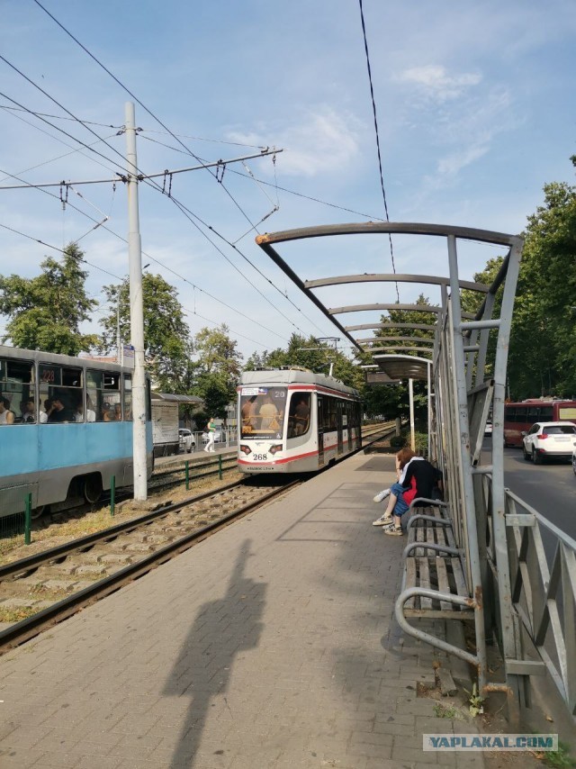 Огромные зонты от солнца
