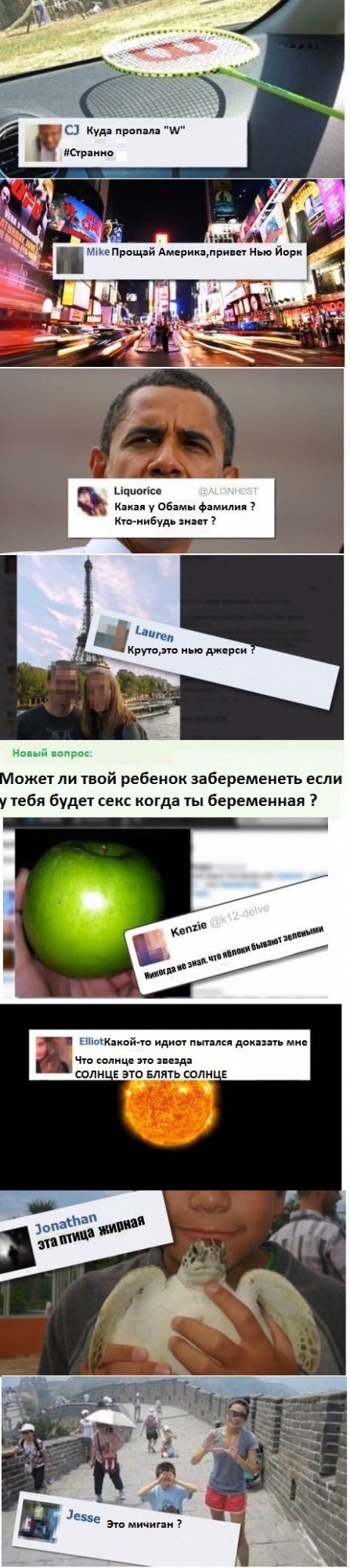 Ну, тупые (с)