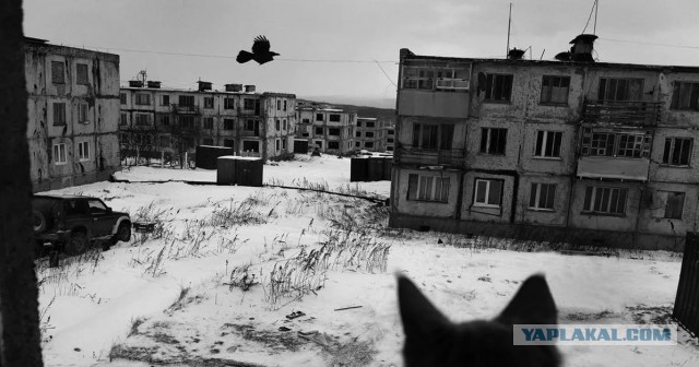 Да чтоб у вас всех был с утра такой вид из окна!
