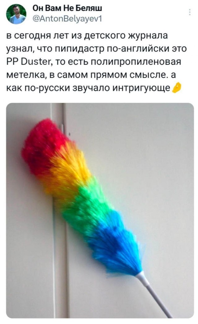 Немного забавных картинок от 22.08.2024