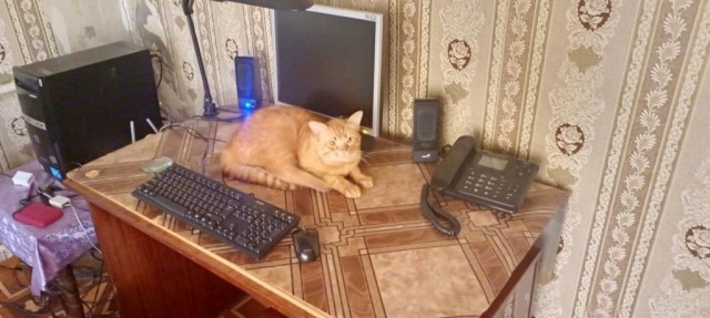 Они выбрали его