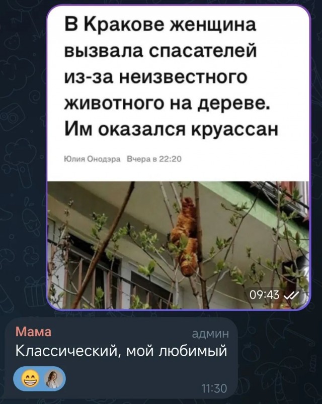 Завалялось тут случайно немного забавных картинок