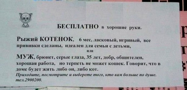 Ты уже заказал, брат?