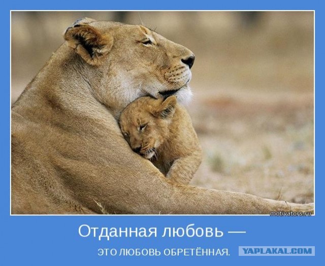 Больше позитива, друзья!