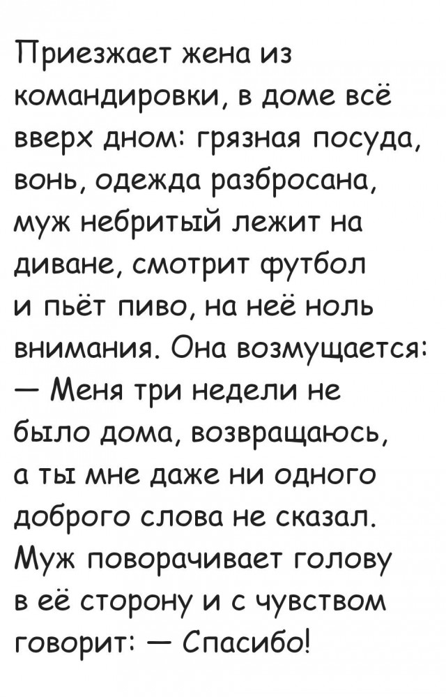 Немного забавных картинок от 22.12.24