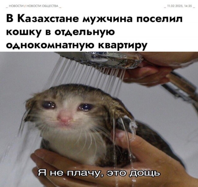 Так себе картинки 14.02.25