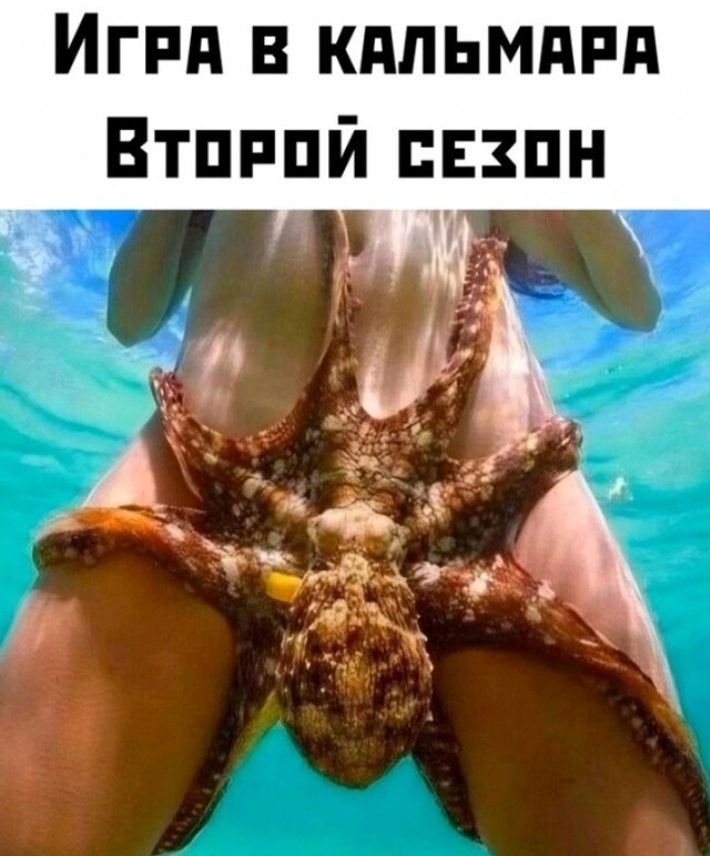 From the archives. Часть первая.