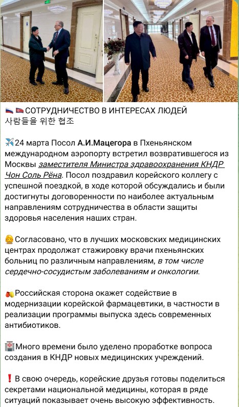 Россия примет врачей из Северной Кореи