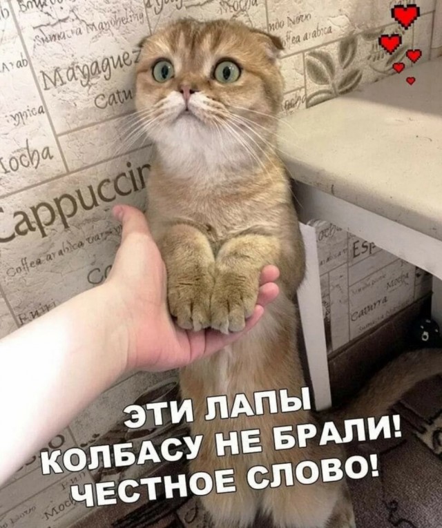 Завалялось тут случайно немного забавных картинок