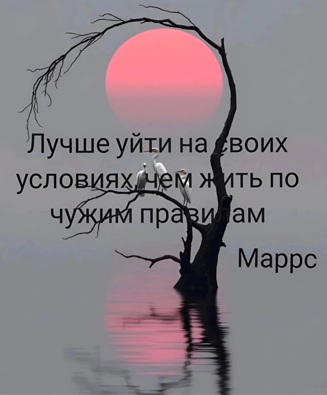 Прикольные и просто красивые картинки 11.04.2025