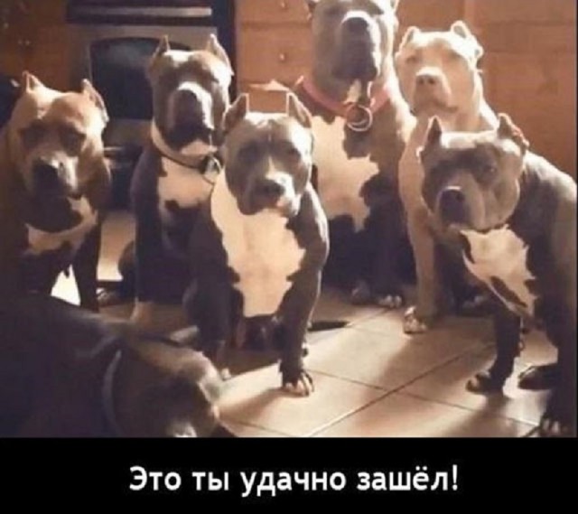 Так себе картинки 13.05.25