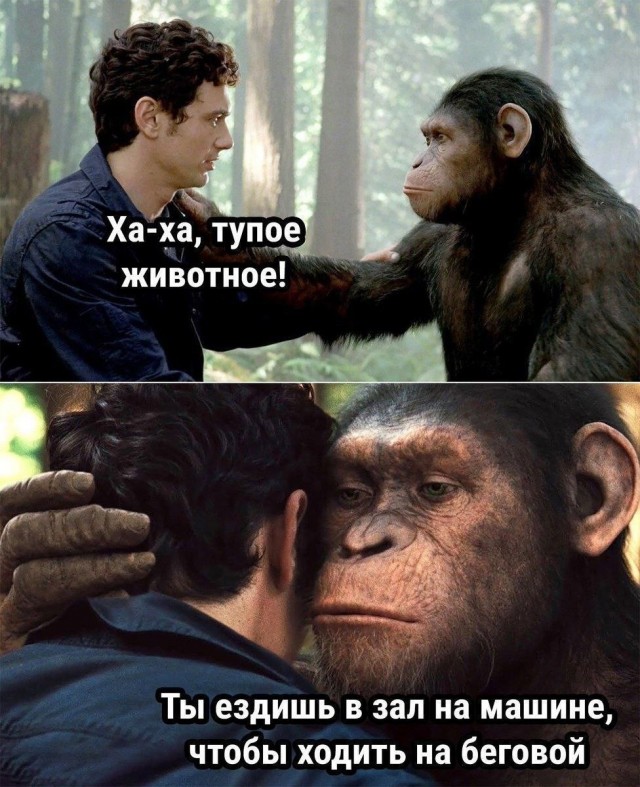 Веселые картинки в понедельник (26.05)