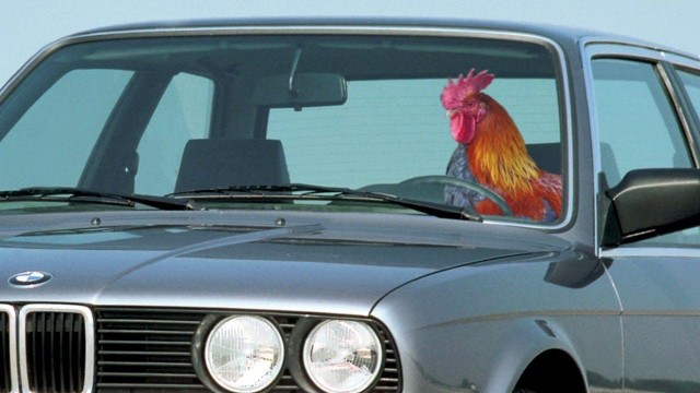 Водители bmw
