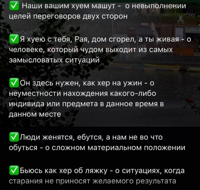 Веселое настроение в картинках (04.08.2025)