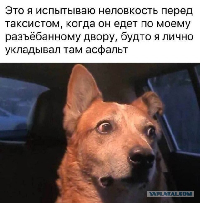Веселые картинки в пятницу (15.08)