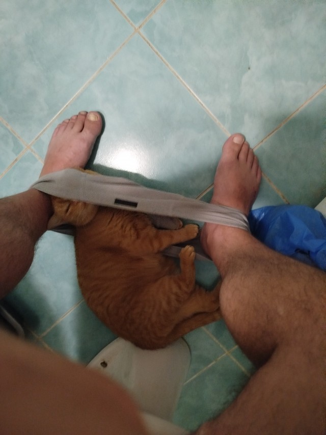 Принимайте в ряды которабов
