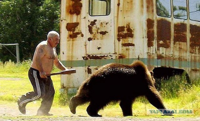 Маша! Я сегодня буду спать в зале