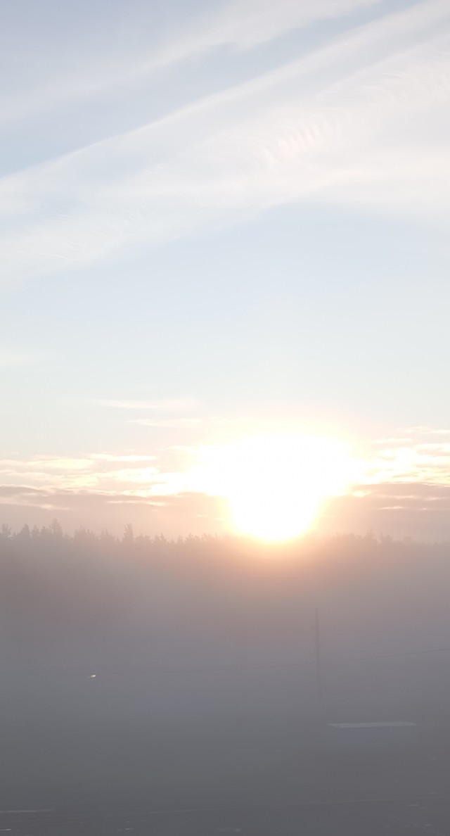 Несколько фоток последних дней.
