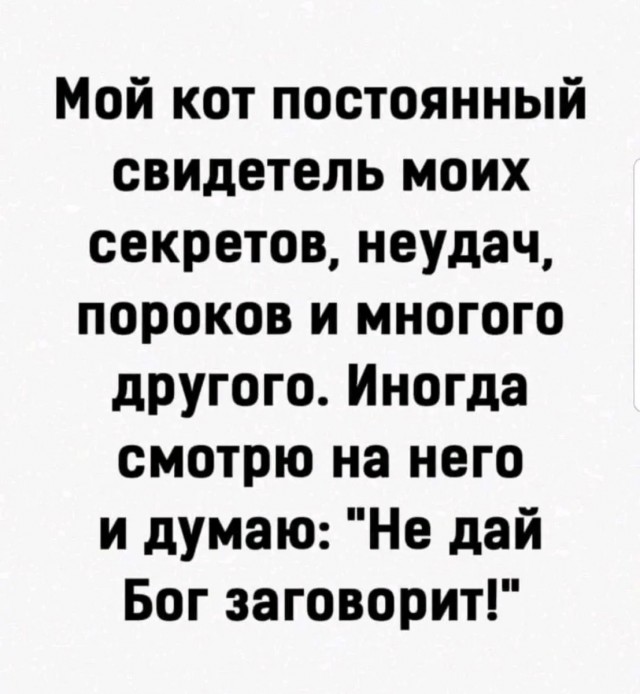 Картинки для деградации 83 (разной степени свежести)