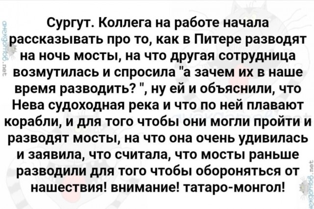 Так себе картинки 29.11.25