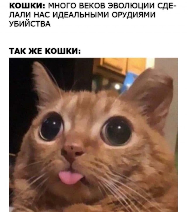 Картинки для деградации 116 (разной степени свежести)