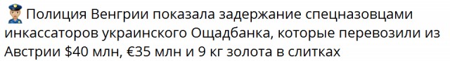 Власти Венгрии показали фото изъятых у украинцев золота и валюты