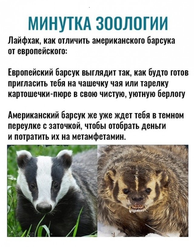 Я сначала аж струхнул