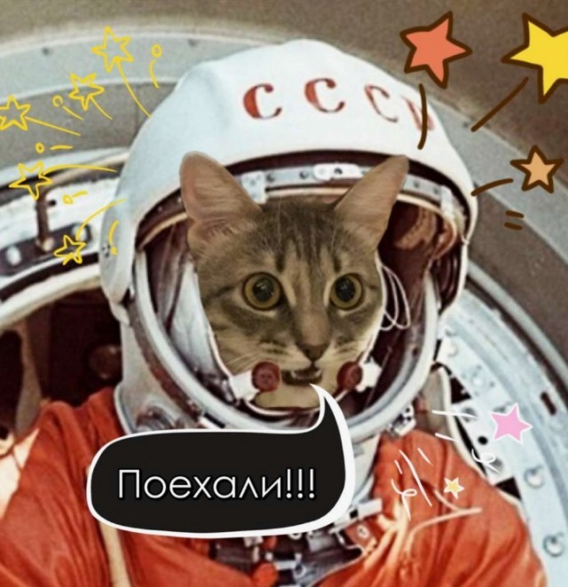Поляк херни не скажет
