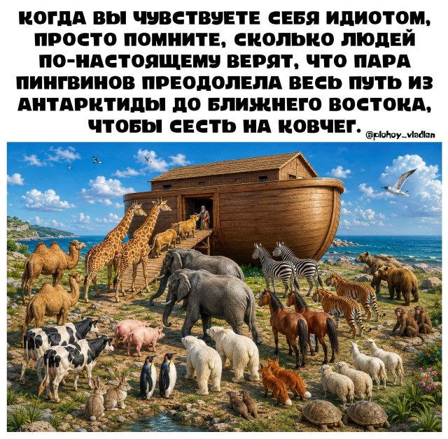 Картинки для деградации 204 (разной степени свежести)