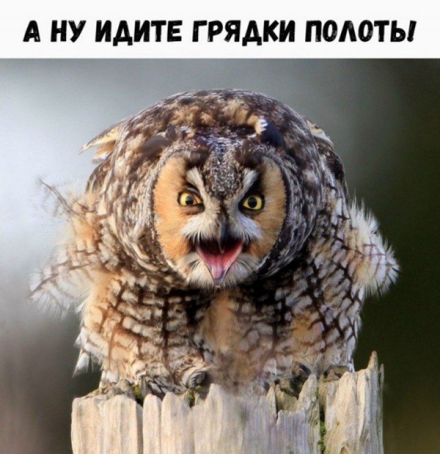 Наткнулся случайно на женский форум, и там задаются таким вопросом