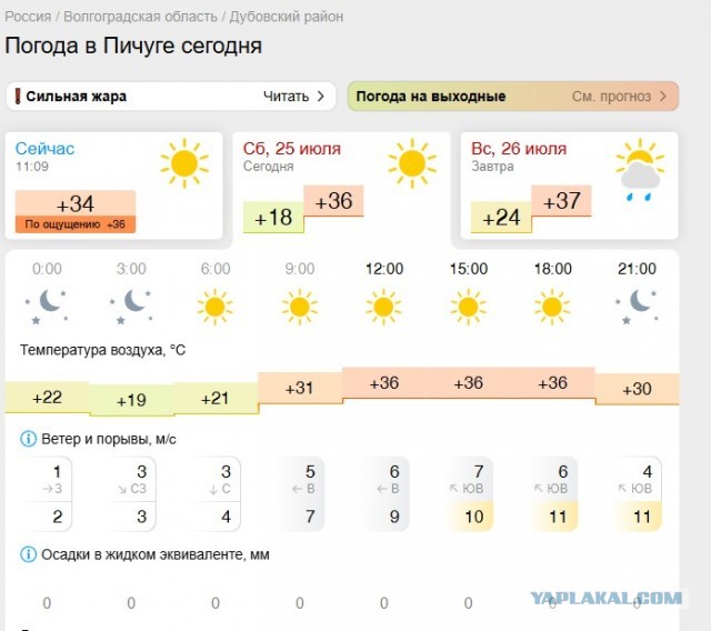 Когда и РСП, и 65 лет, но на этот раз ЯПовец не устоит