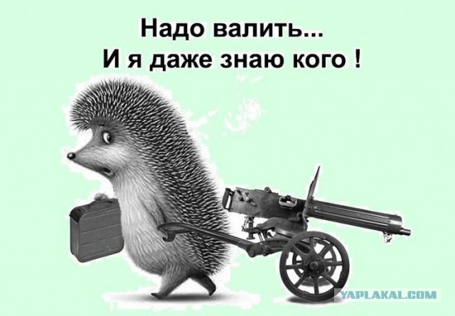 Зуммеры