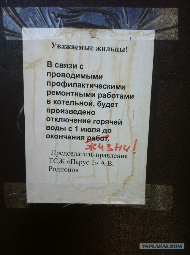 Подборочка маразмиков